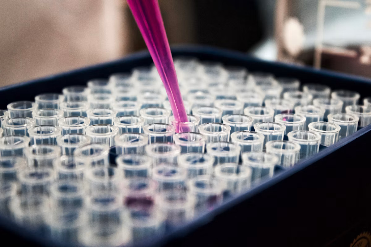 Pathologist reviewing reports on screen