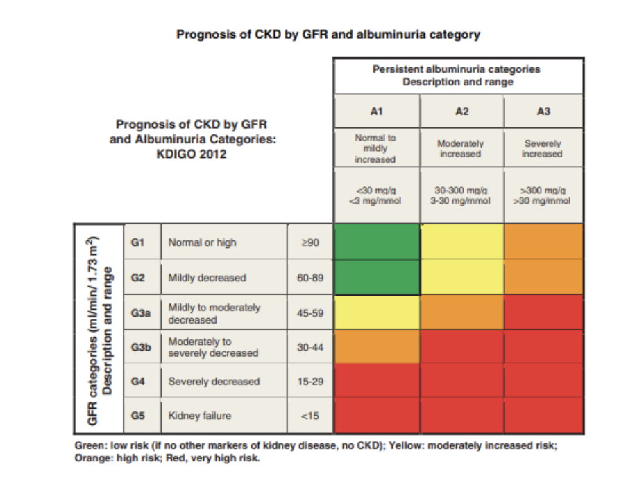 creatinine clearance