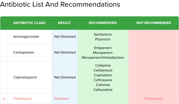  molecular testing report format displaying antibiotic list and recommendations based on detected genes and clinical guidelines