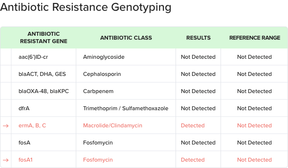 molecular testing report format displaying customizable section to document antibiotic resistance genotyping result summary for antibiotic resistance
