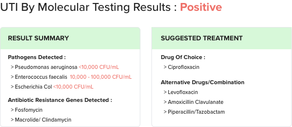 report format of uti by molecular methods displaying positive testing results, result summary, and suggested treatment