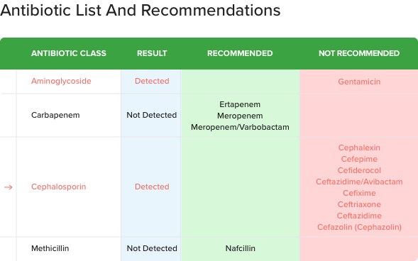 molecular testing report format displaying antibiotic list and recommendations based on detected mutations and clinical guidelines