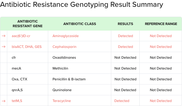 molecular testing report format displaying antibiotic resistance genotyping result summary for identified antibiotic resistance genes