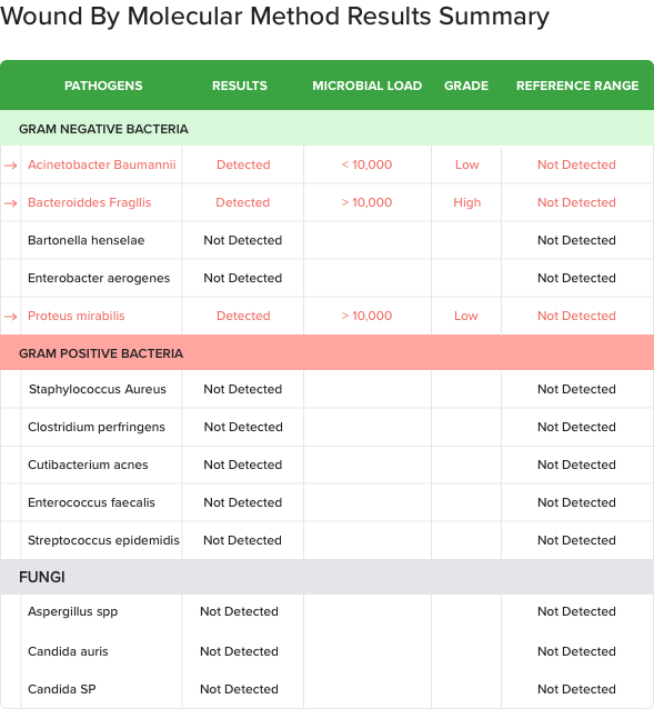 molecular testing report format displaying result summary of microbial load units quantifying pathogens and describing their load in the wound sample