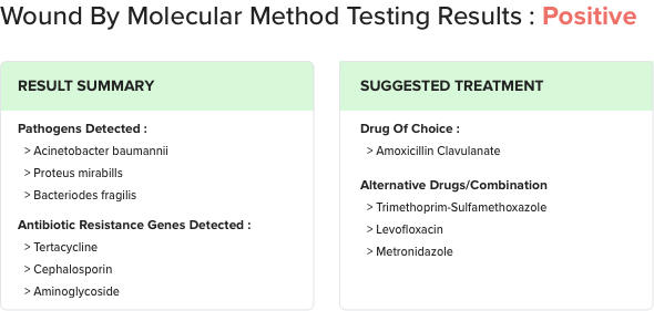 molecular testing report format displaying positive testing results, result summary, and suggested treatment