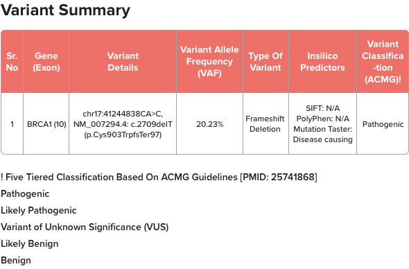 molecular testing report format displaying information on variant allele frequency and its classification in the variant summaries